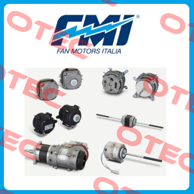 FMI (Fan Motors Italia)