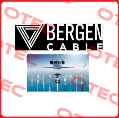 Bergen Cable Technology Llc