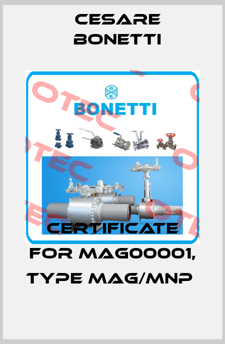Certificate for MAG00001, type MAG/MNP  Cesare Bonetti
