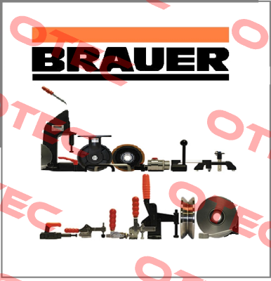 05840-1200 Brauer