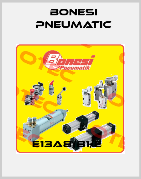 E13A8/B1/E   Bonesi Pneumatic