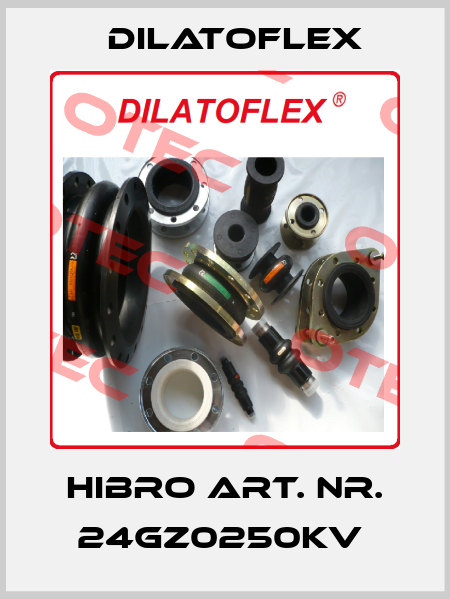 Hibro Art. Nr. 24GZ0250KV  DILATOFLEX