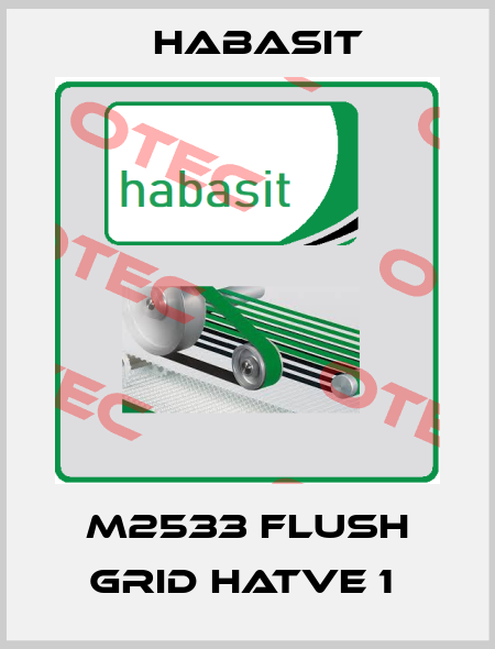 M2533 Flush grid Hatve 1  Habasit