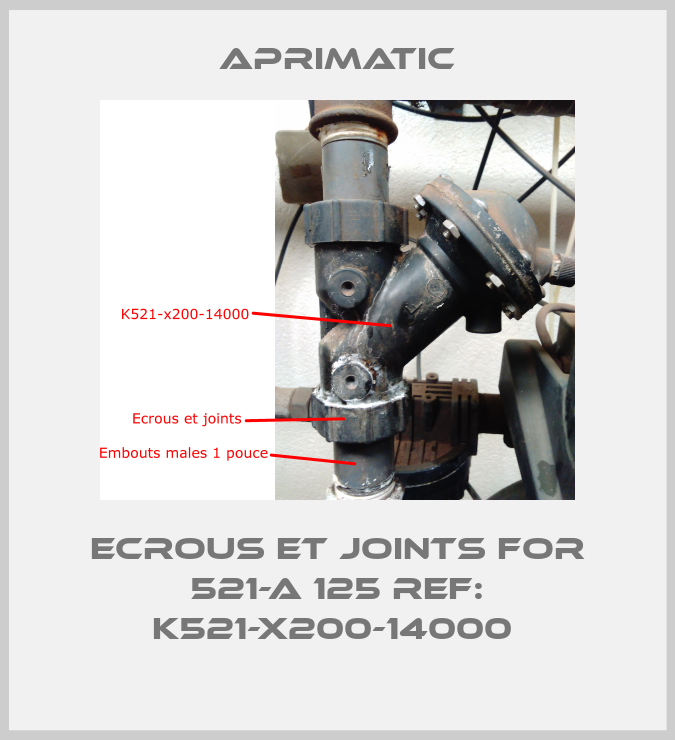 Ecrous et joints for 521-A 125 REF: K521-X200-14000 -big