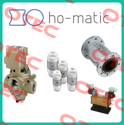 Typ QSV50 G (40050.211.000)  Ho-Matic AG