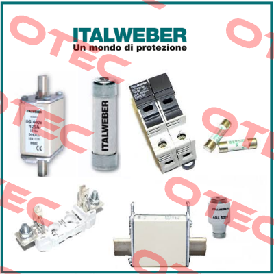 0112502  Italweber