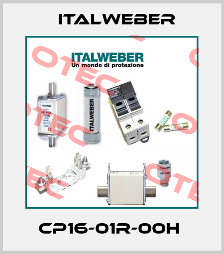 CP16-01R-00H  Italweber