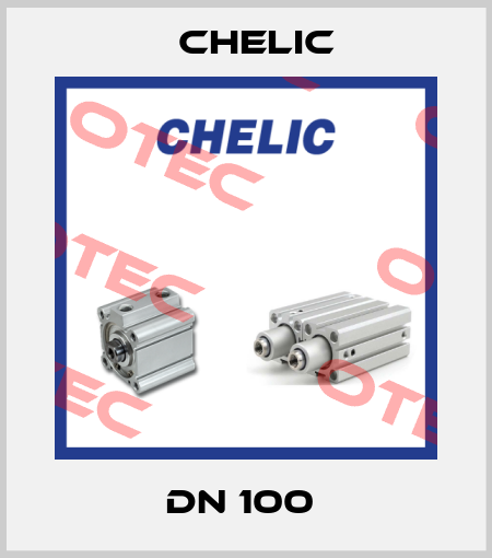 DN 100  Chelic