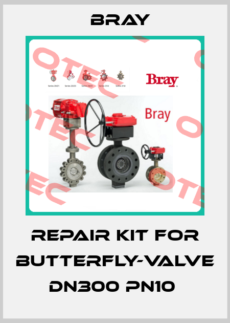 Repair kit for butterfly-valve DN300 PN10  Bray