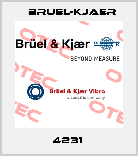4231  Bruel-Kjaer