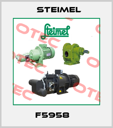 F5958    Steimel