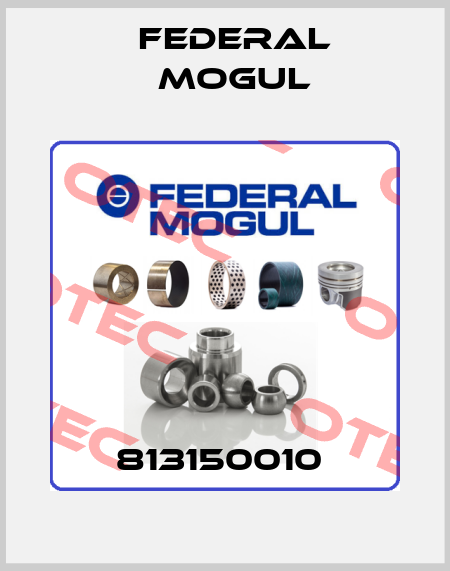 813150010  Federal Mogul