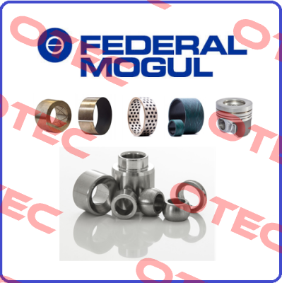 813150010  Federal Mogul