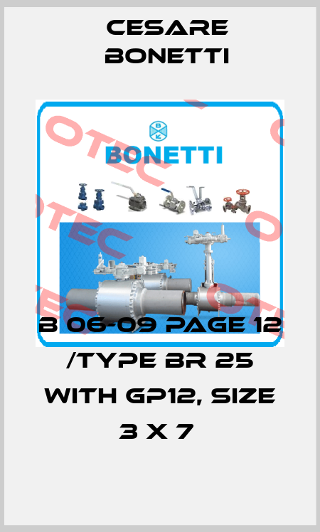 B 06-09 PAGE 12 /TYPE BR 25 WITH GP12, SIZE 3 X 7  Cesare Bonetti