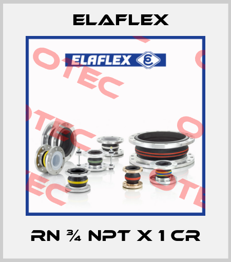 RN ¾ NPT x 1 cr Elaflex