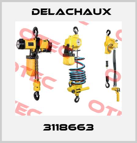 3118663 Delachaux