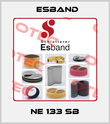 NE 133 SB Esband