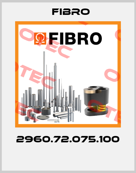 2960.72.075.100  Fibro