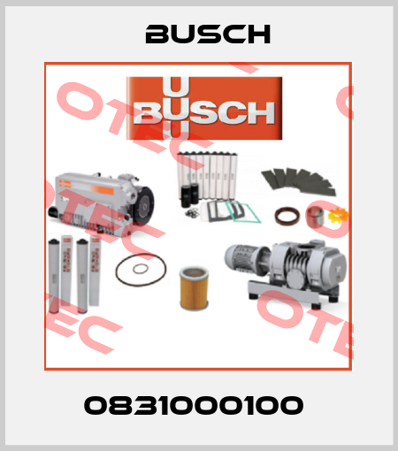0831000100  Busch