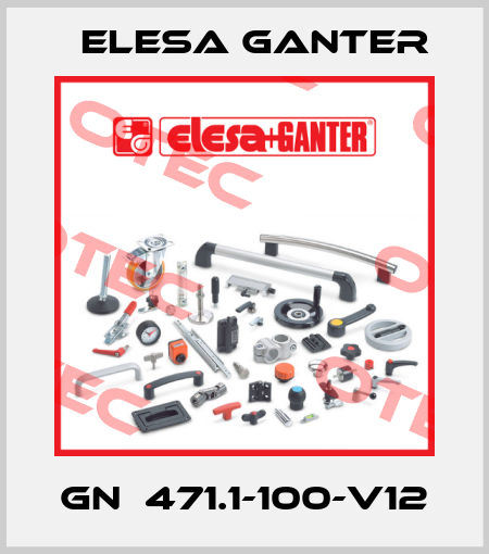 GN  471.1-100-V12 Elesa Ganter