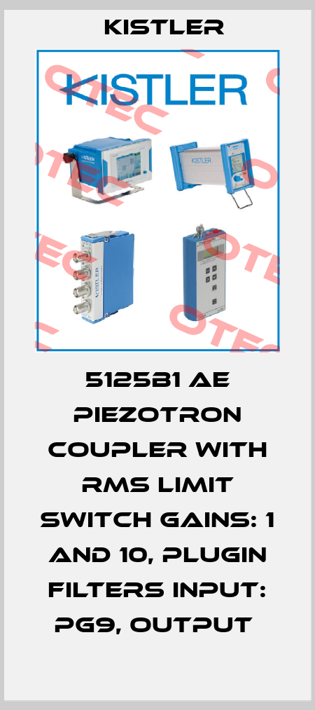 5125B1 AE PIEZOTRON COUPLER WITH RMS LIMIT SWITCH GAINS: 1 AND 10, PLUGIN FILTERS INPUT: PG9, OUTPUT  Kistler
