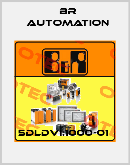 5DLDVI.1000-01  Br Automation
