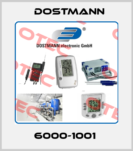 6000-1001  Dostmann