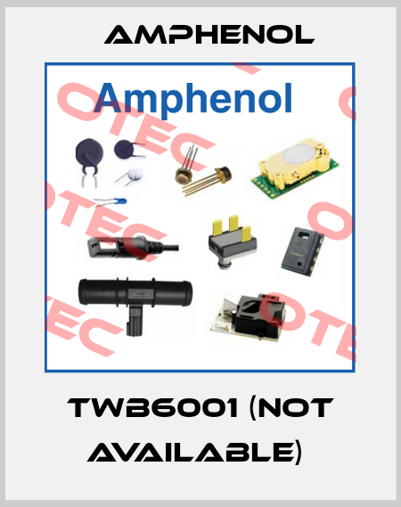 TWB6001 (not available)  Amphenol