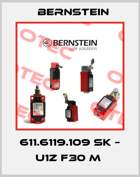 611.6119.109 SK – U1Z F30 M  Bernstein