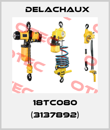 18TC080 (3137892) Delachaux