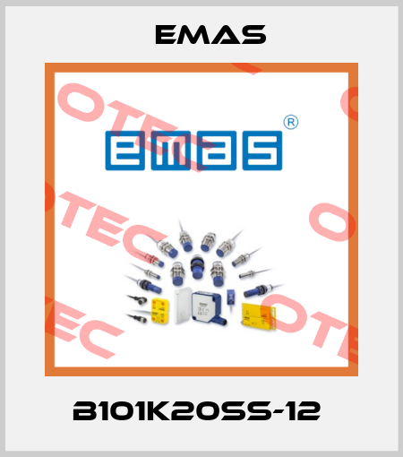 B101K20SS-12  Emas