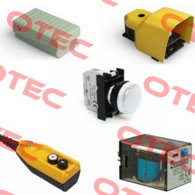 RE1P08DC110  Emas