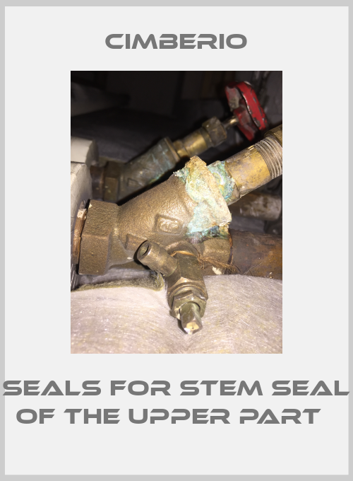 seals for stem seal of the upper part  -big