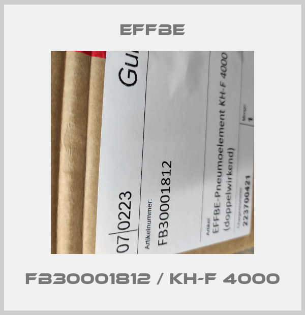 FB30001812 / KH-F 4000-big
