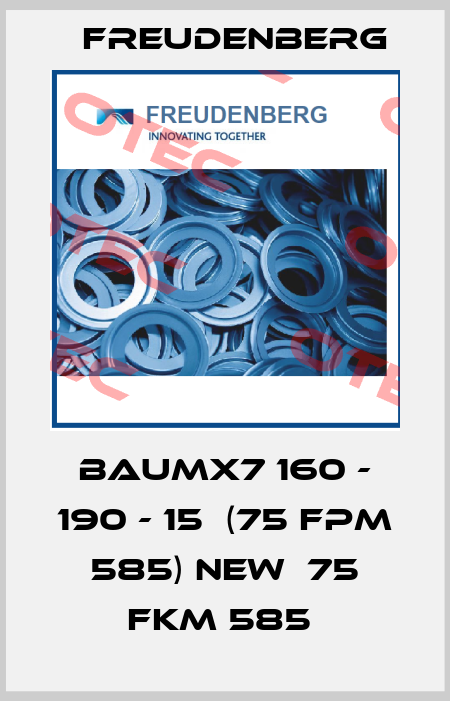 BAUMX7 160 - 190 - 15  (75 FPM 585) new  75 FKM 585  Freudenberg