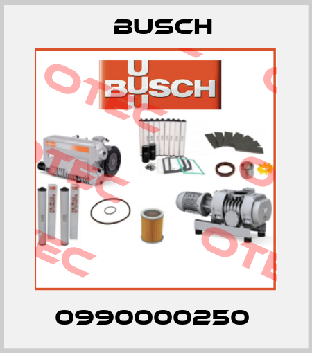 0990000250  Busch