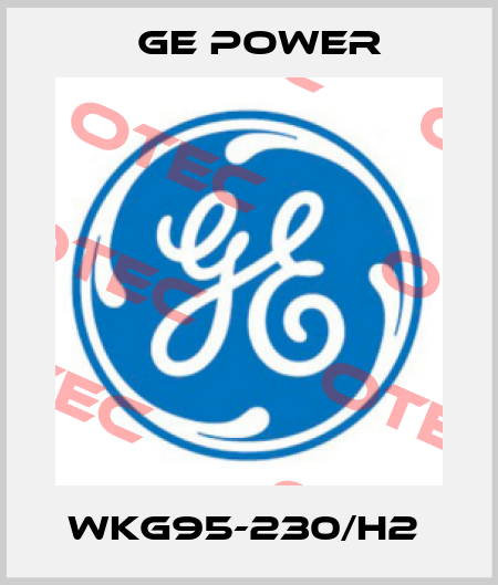 WKG95-230/H2  GE Power