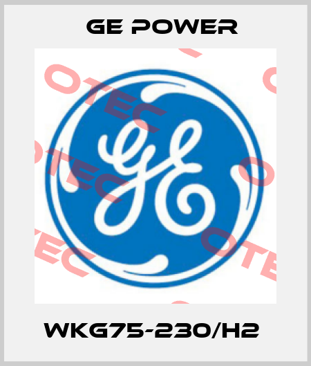 WKG75-230/H2  GE Power