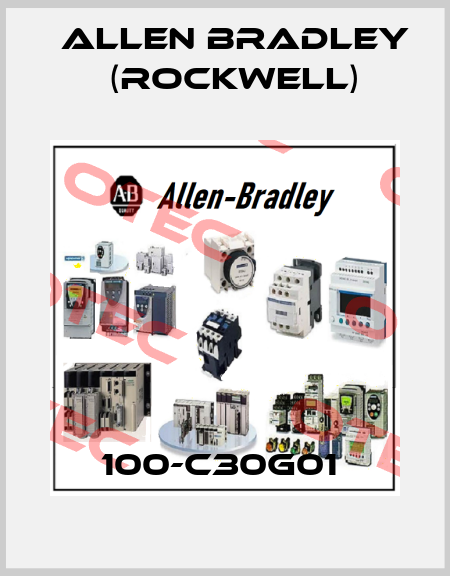 100-C30G01  Allen Bradley (Rockwell)
