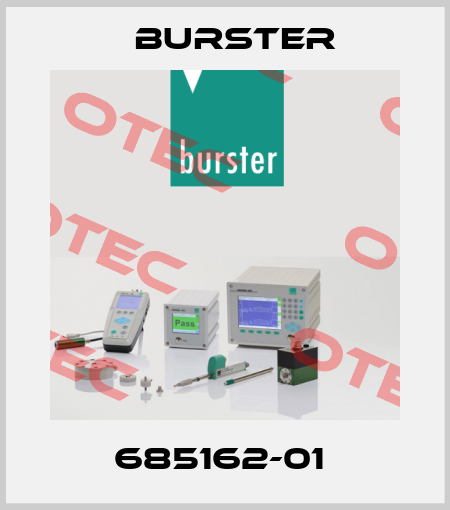 685162-01  Burster