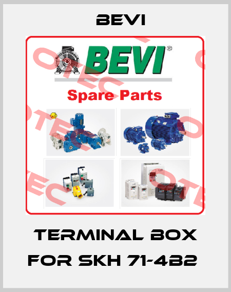 Terminal box for SKh 71-4B2  Bevi
