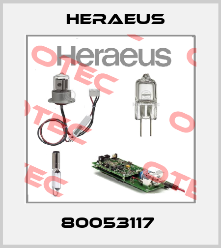 80053117  Heraeus