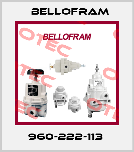 960-222-113  Bellofram