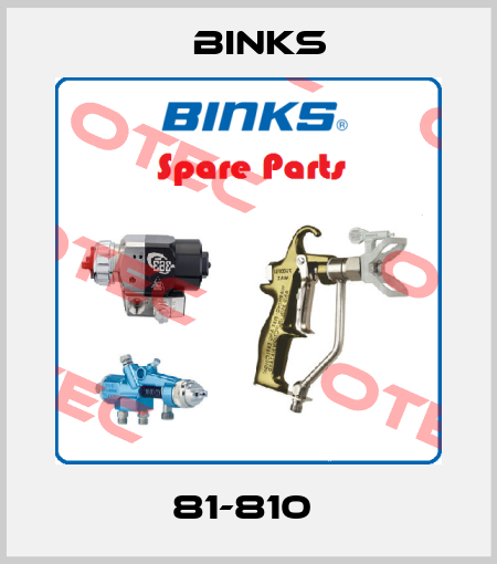 81-810  Binks