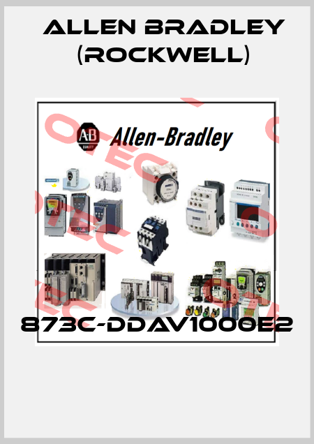 873C-DDAV1000E2  Allen Bradley (Rockwell)
