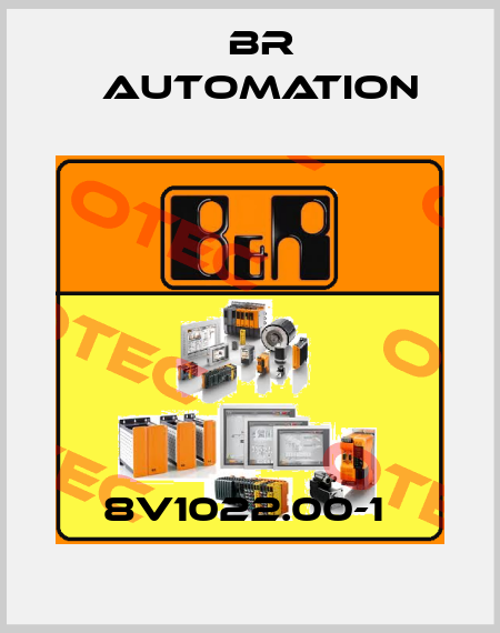 8V1022.00-1  Br Automation
