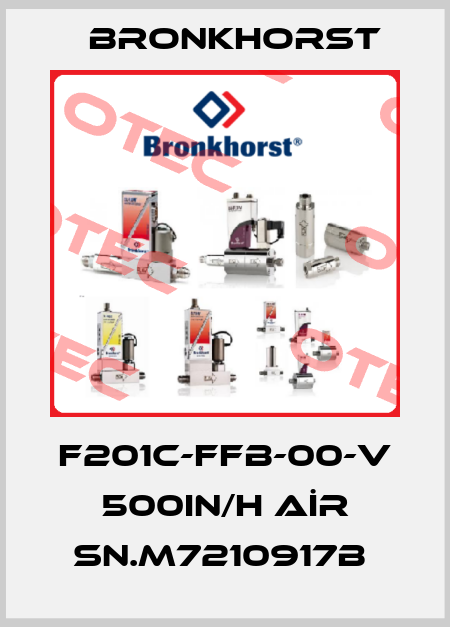 F201C-FFB-00-V 500IN/H AİR SN.M7210917B  Bronkhorst