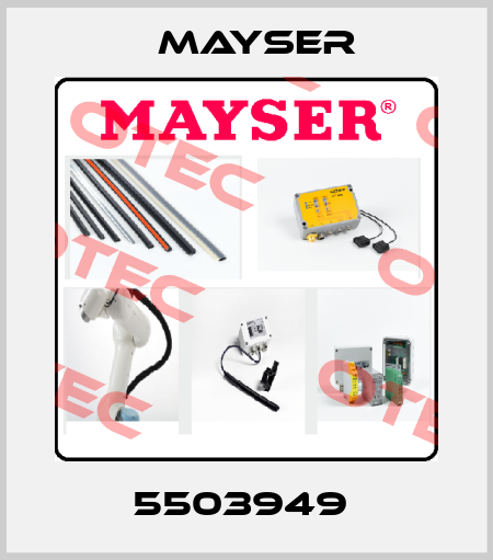 5503949  Mayser