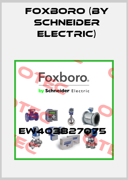 EW403827075  Foxboro (by Schneider Electric)