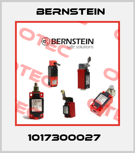 1017300027   Bernstein
